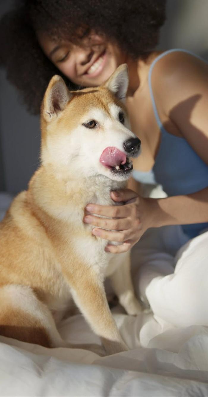 Good Dawg Dog Training - Saint Cloud, FL