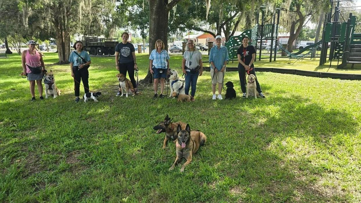 Good Dawg Dog Training - Saint Cloud, FL