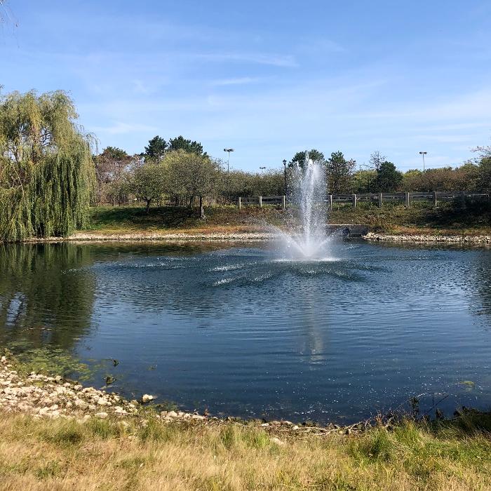 Camden Place - Dublin, OH
