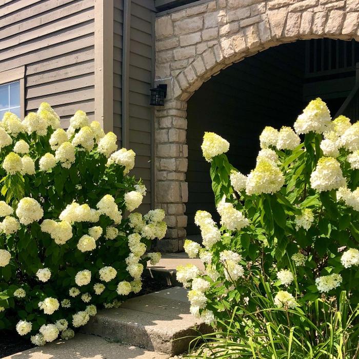 Camden Place - Dublin, OH