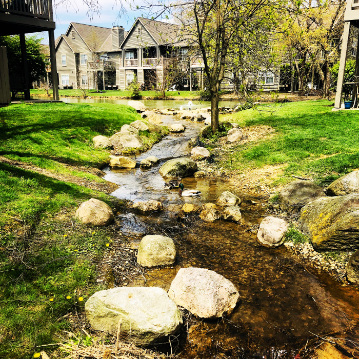 Camden Place - Dublin, OH