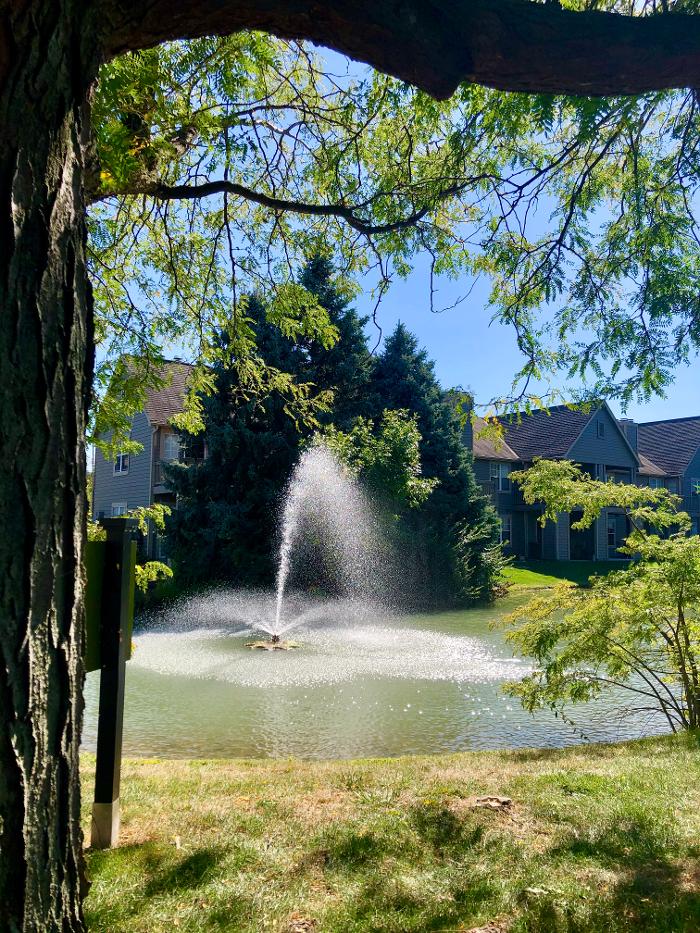 Camden Place - Dublin, OH