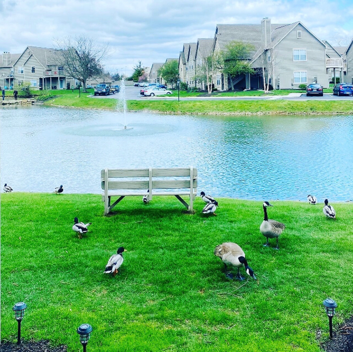 Camden Place - Dublin, OH