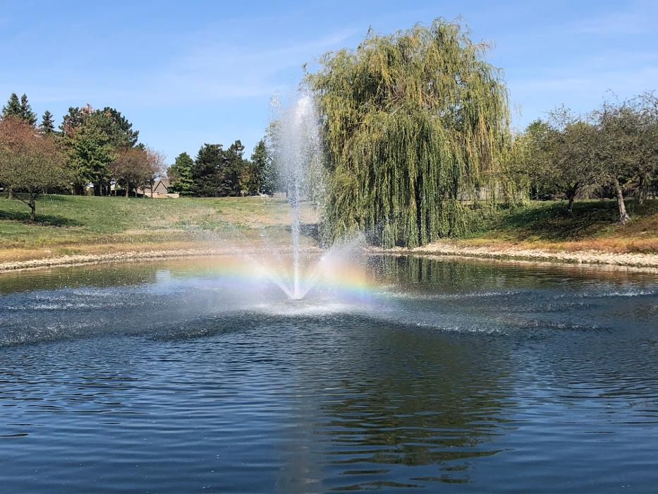 Camden Place - Dublin, OH