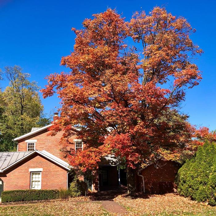 Camden Place - Dublin, OH