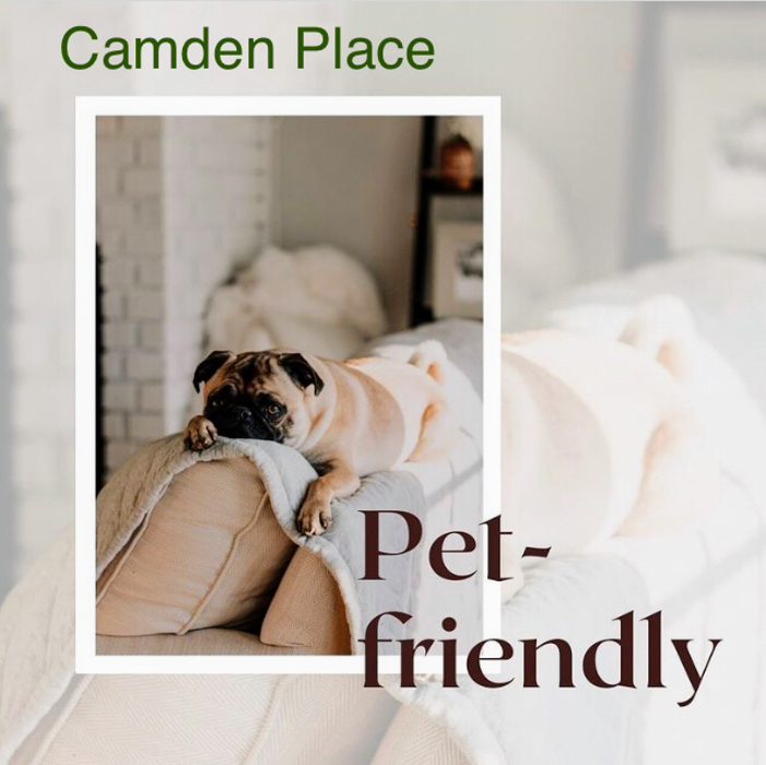 Camden Place - Dublin, OH