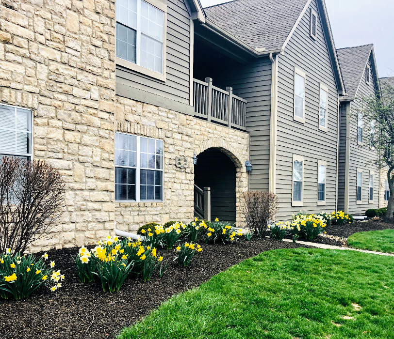Camden Place - Dublin, OH
