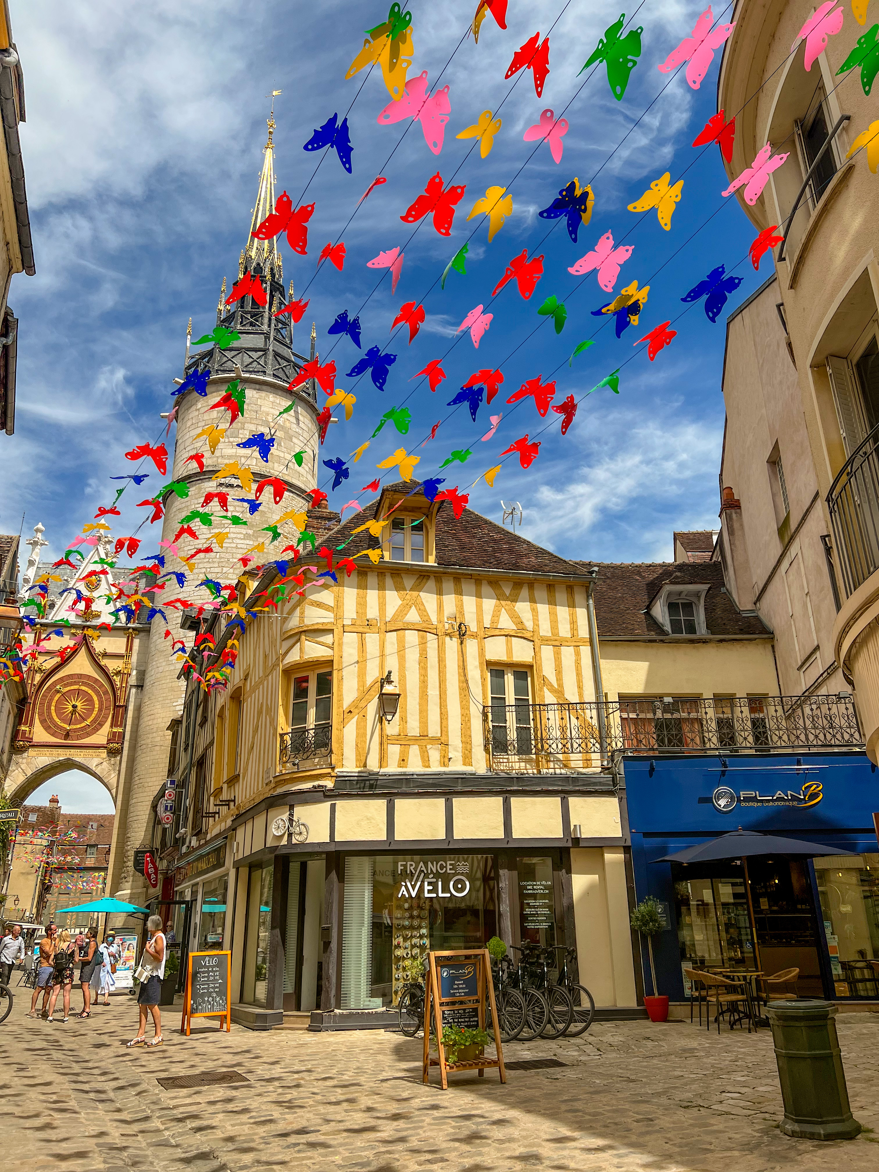 galerie image
