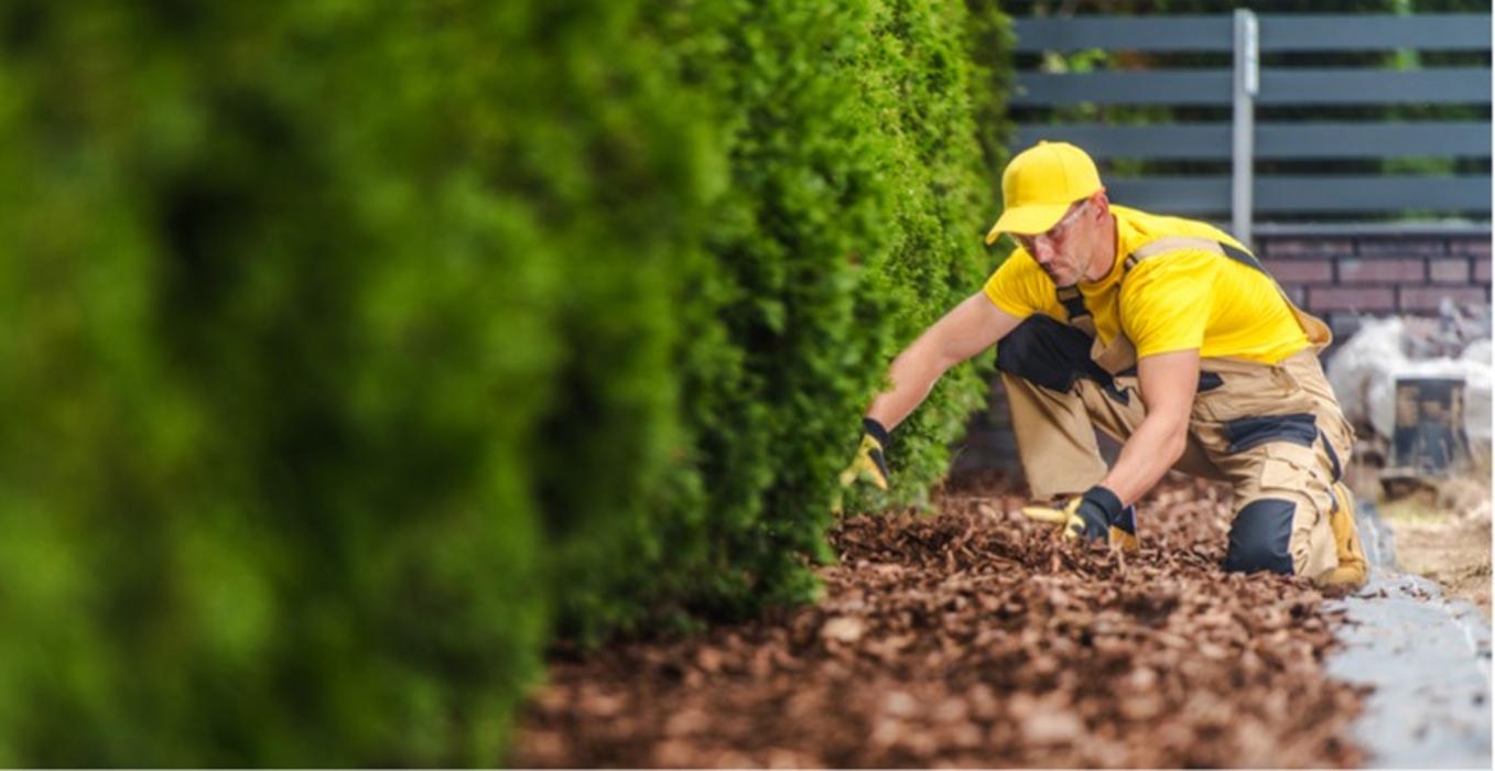 Handy Hoffman - Caldwell, ID