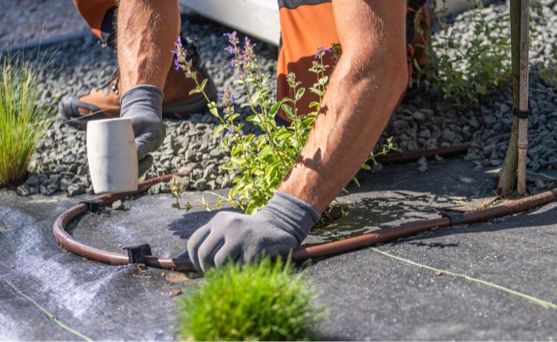 Handy Hoffman - Caldwell, ID