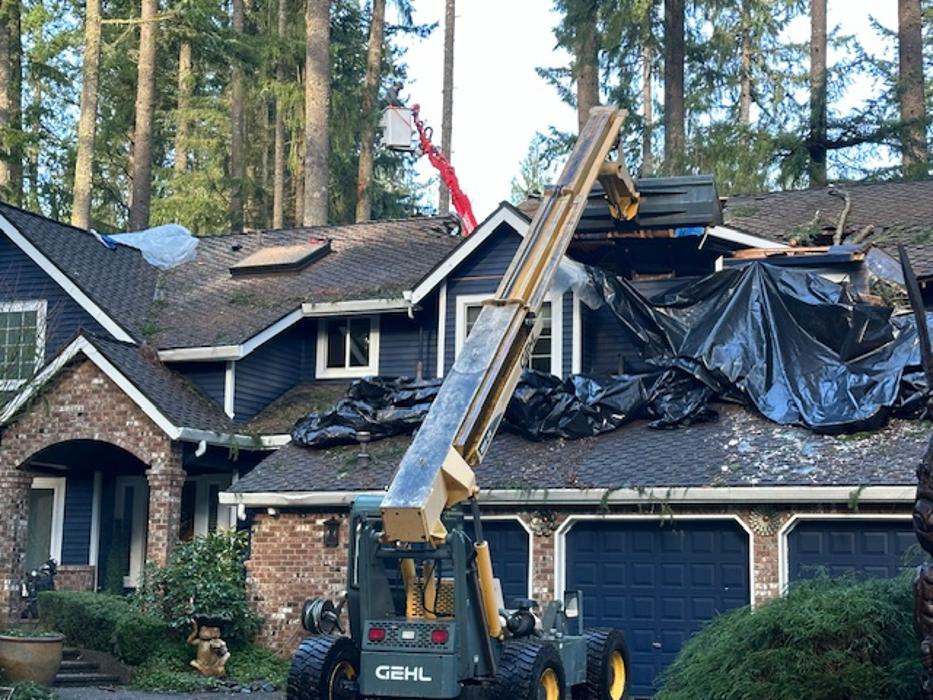 Saylor Landscaping Image