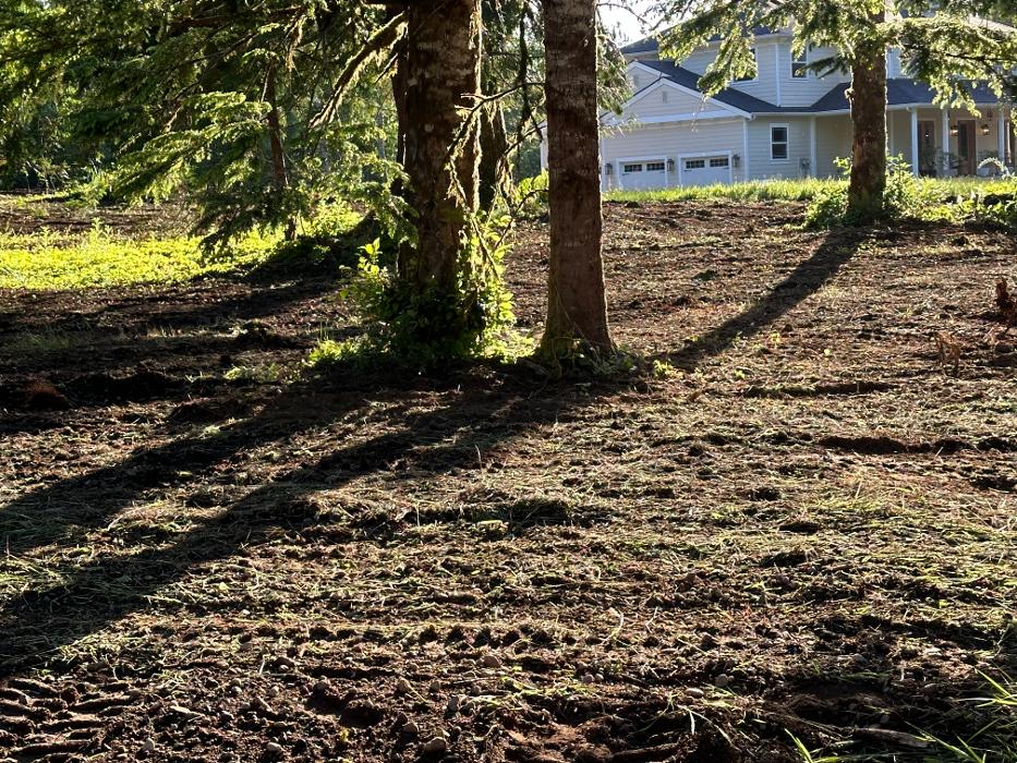 Saylor Landscaping Image