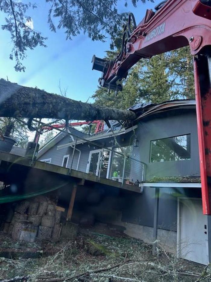 Saylor Landscaping Image