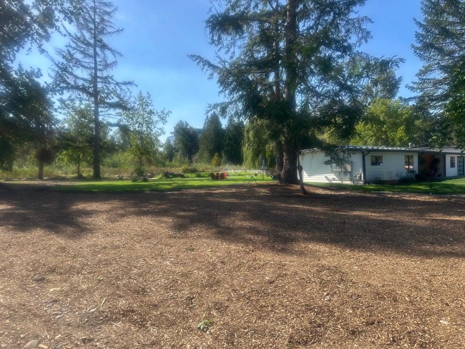 Saylor Landscaping Image