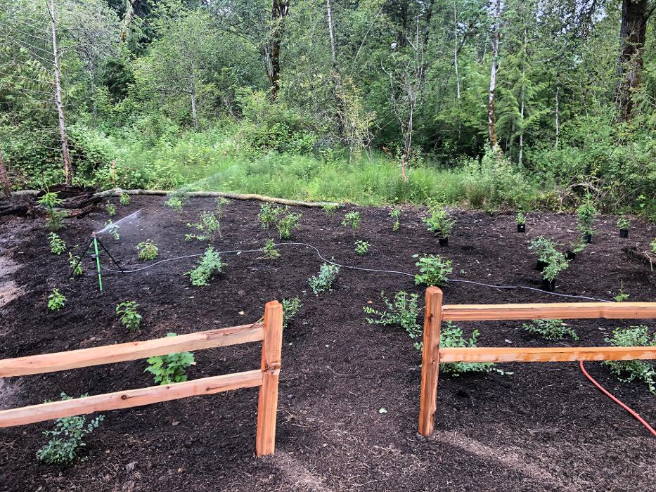 Saylor Landscaping Image