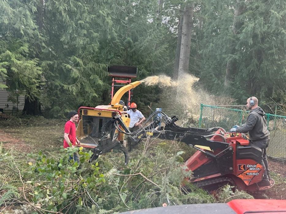 Saylor Landscaping Image