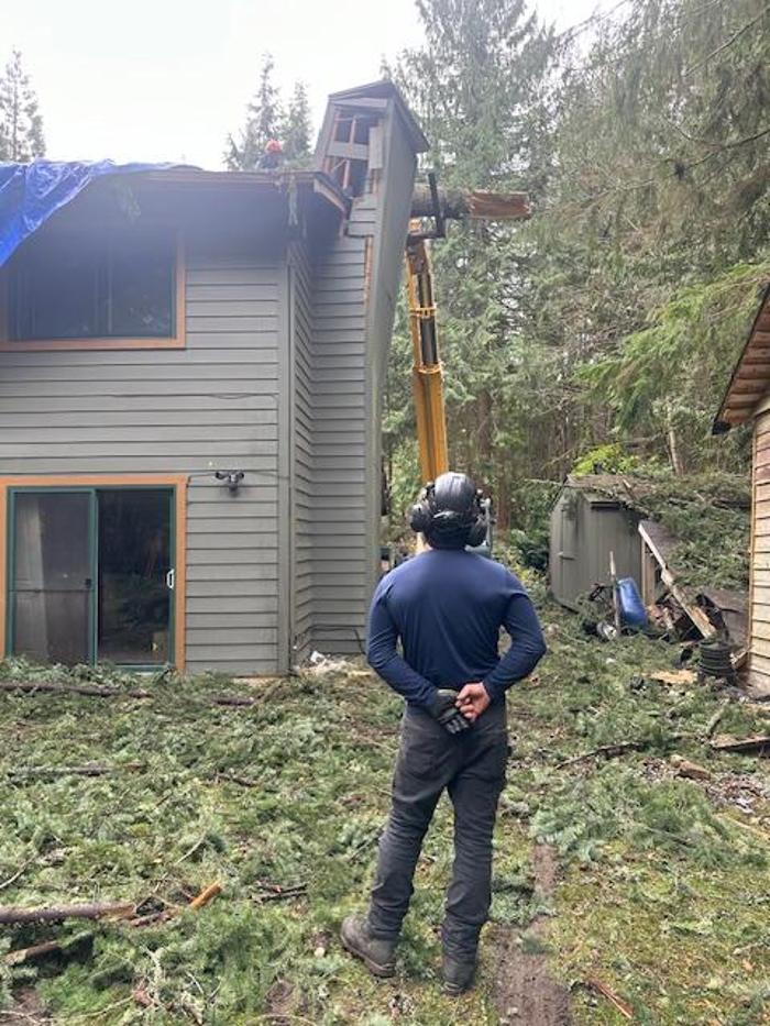 Saylor Landscaping Image