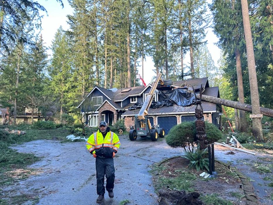 Saylor Landscaping Image