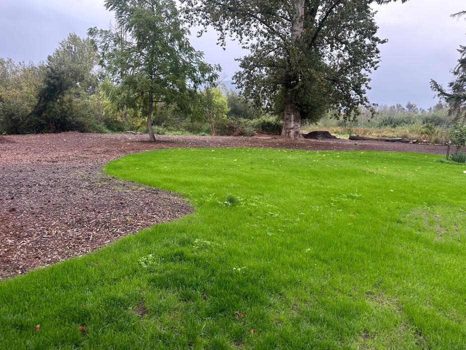 Saylor Landscaping Image