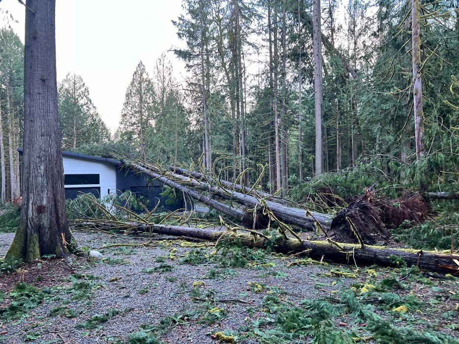 Saylor Landscaping Image