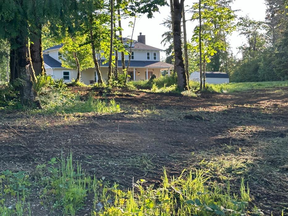 Saylor Landscaping Image