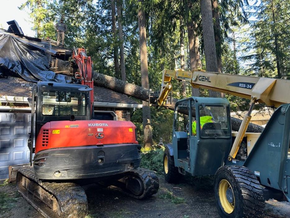 Saylor Landscaping Image