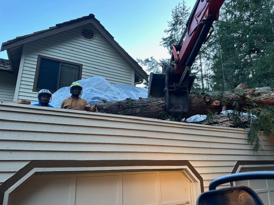 Saylor Landscaping Image