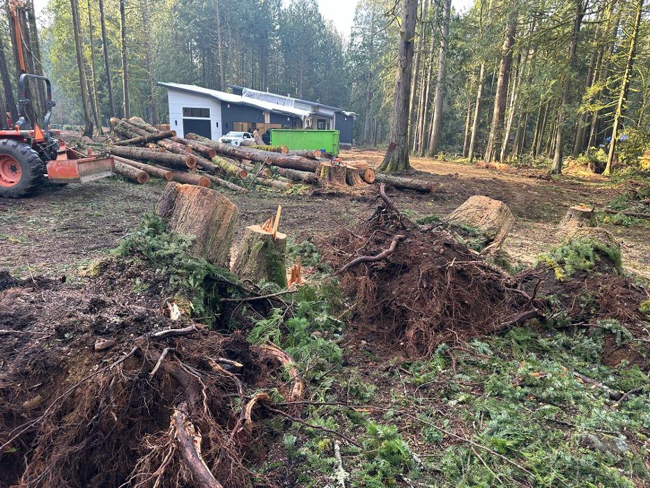 Saylor Landscaping Image