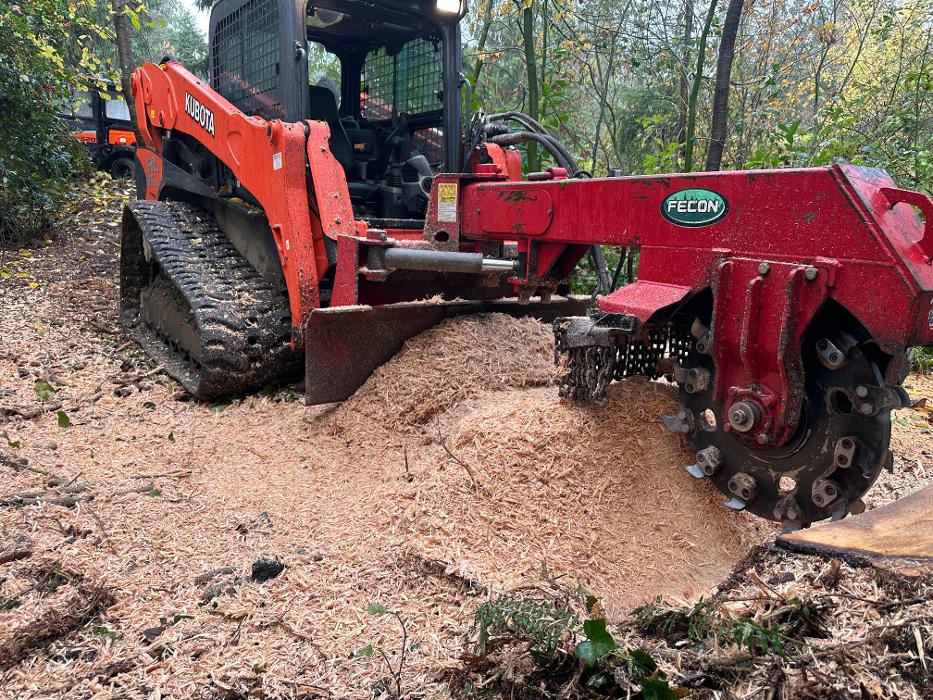 Saylor Landscaping Image