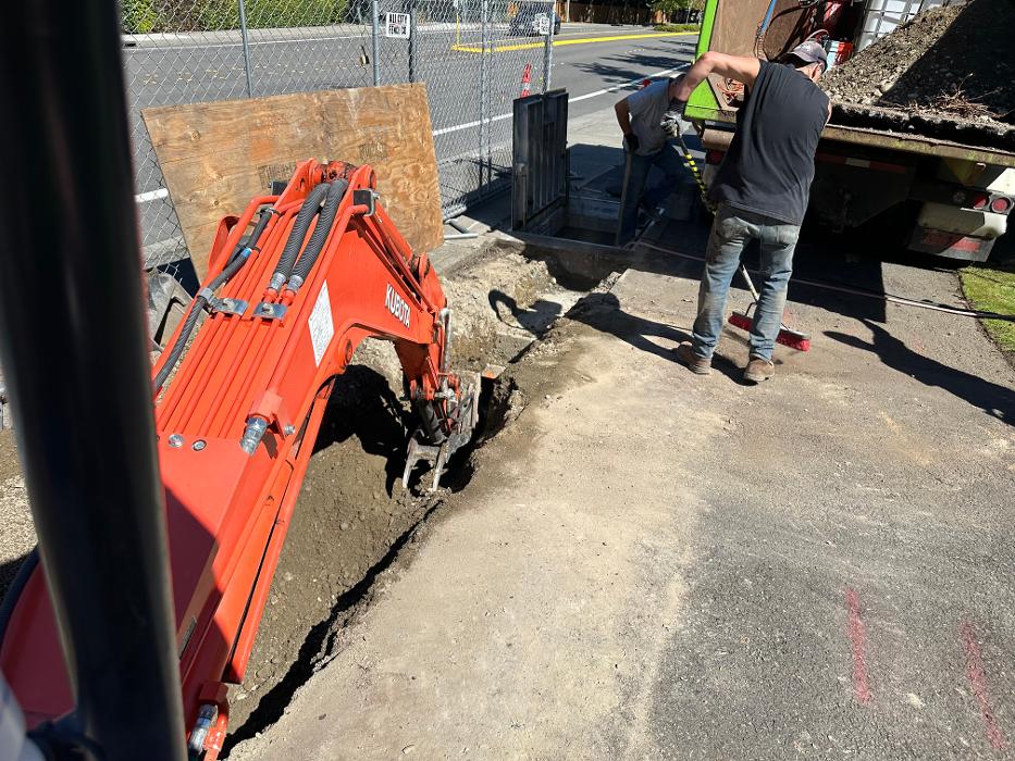 Saylor Landscaping Image