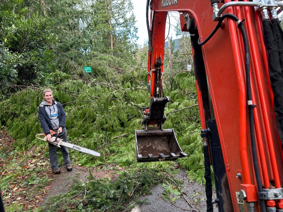 Saylor Landscaping Image