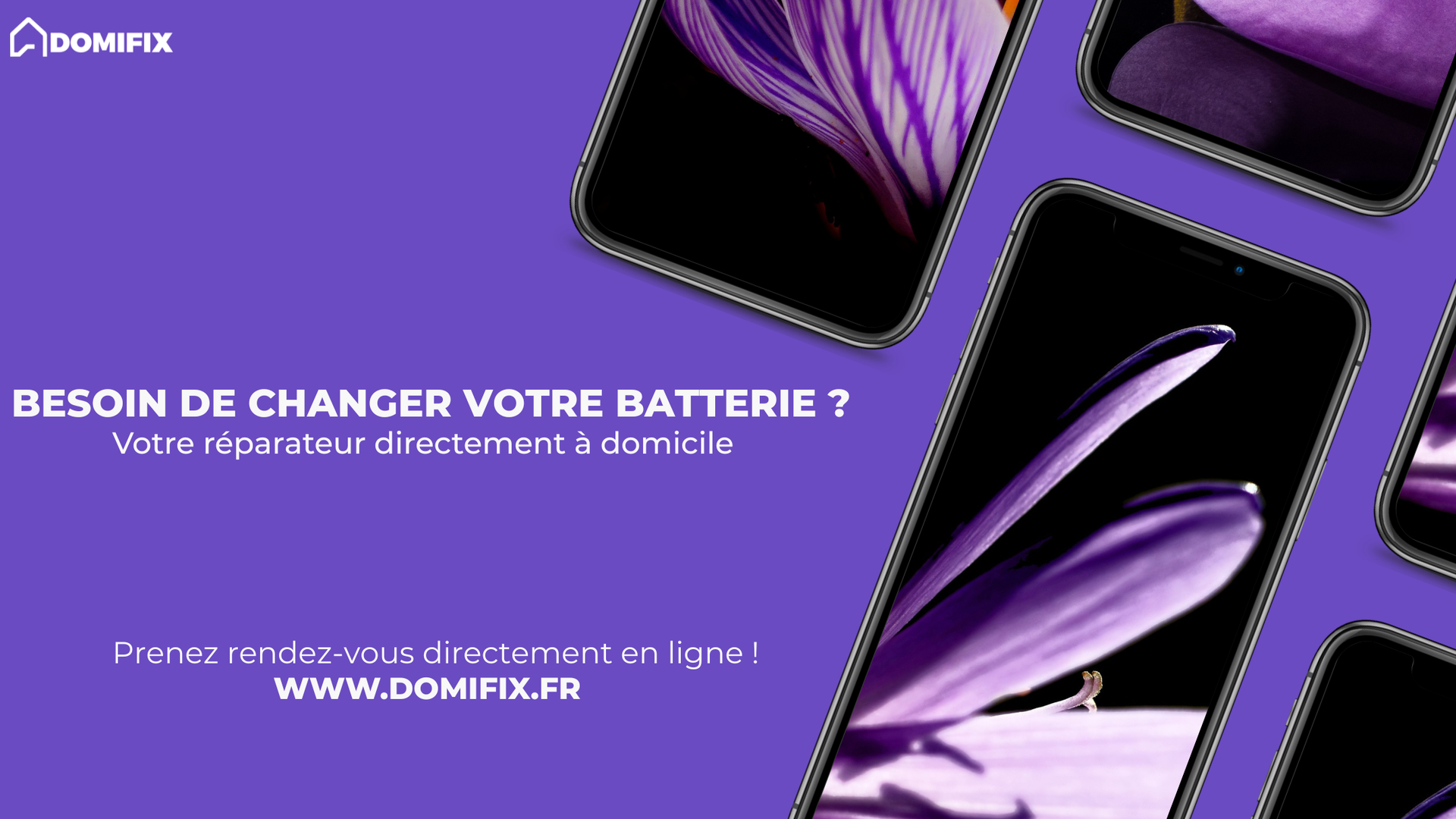 galerie image