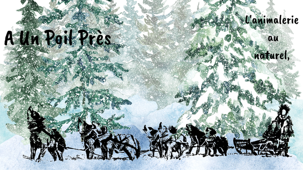 A Un Poil Près animalerie