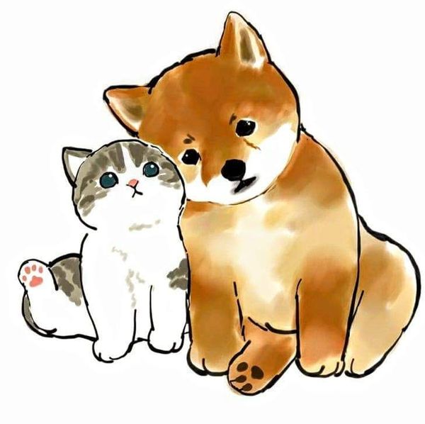 L'Espace Canin toilettage de chien et chat