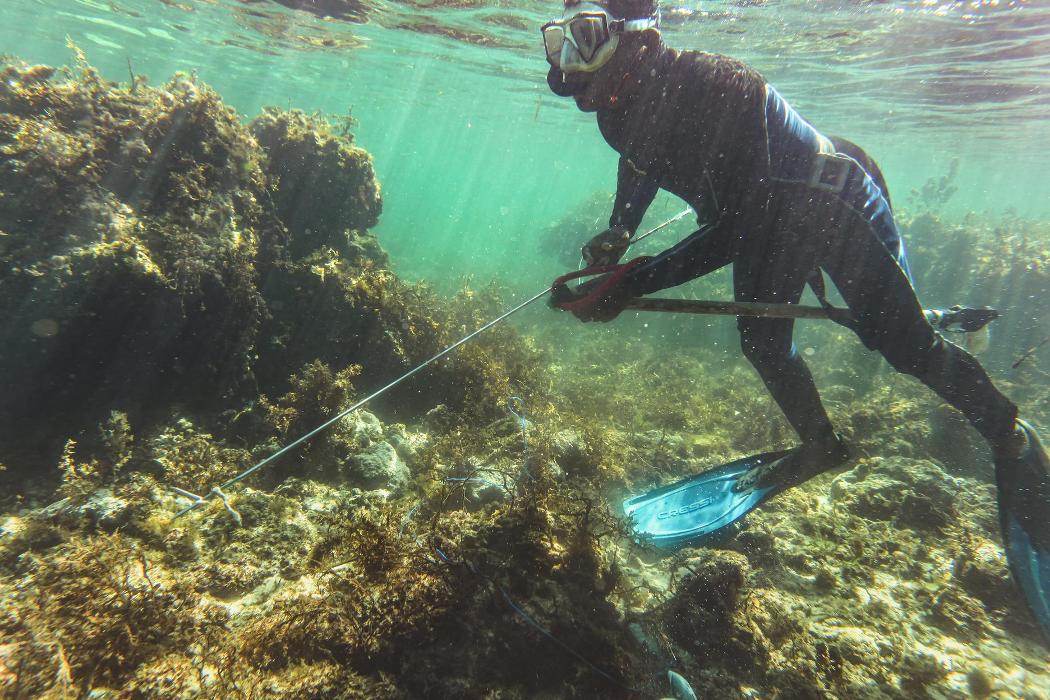 Sol Side Adventures - Dana Point, CA