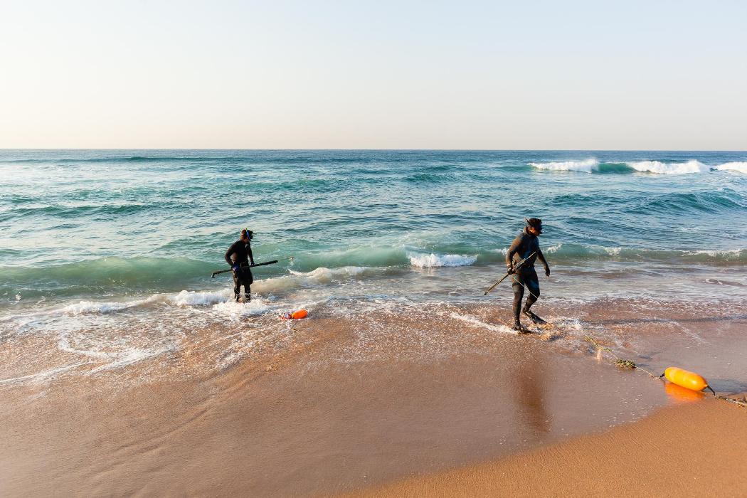 Sol Side Adventures - Dana Point, CA