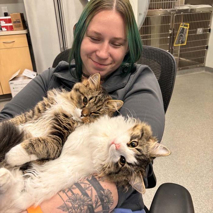 Broad Ripple Pet Wellness Clinic - Indianapolis, IN