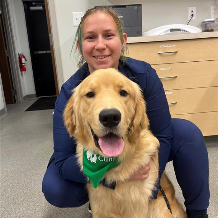 Broad Ripple Pet Wellness Clinic - Indianapolis, IN