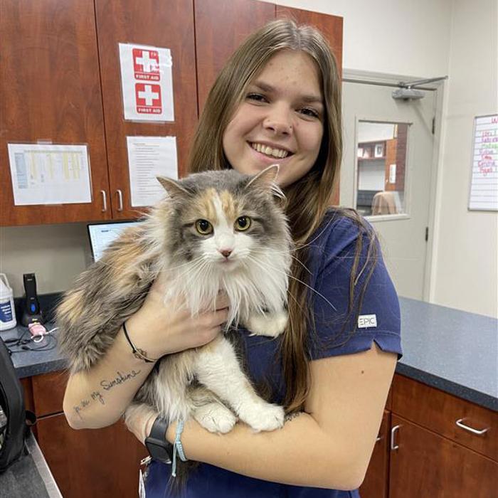 Bridgeview Pet Wellness Clinic - Fishers, IN