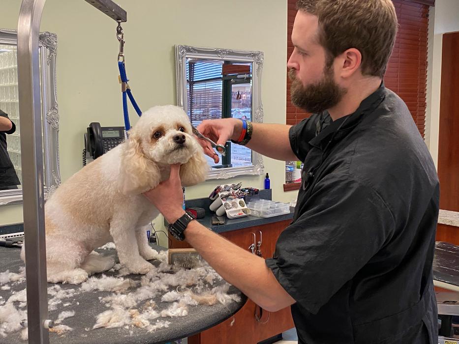 Bridgeview Pet Wellness Clinic - Fishers, IN
