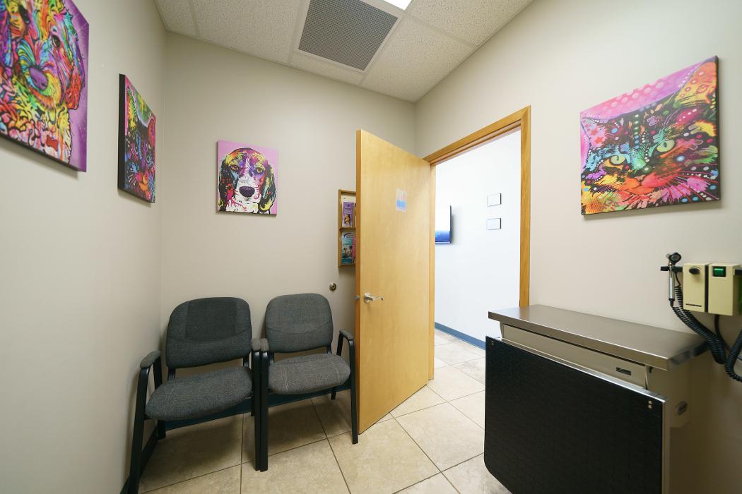 The Ridge Veterinary Clinic