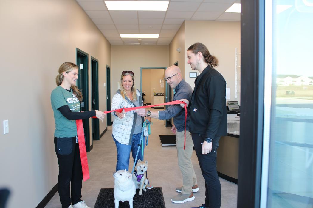 Valley Animal Hospital