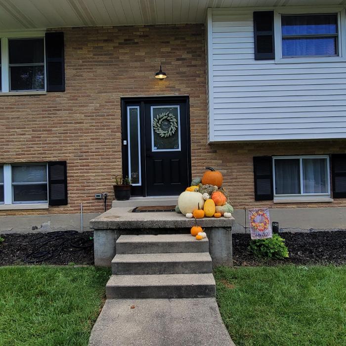 Johnson Seasonal Services Logo