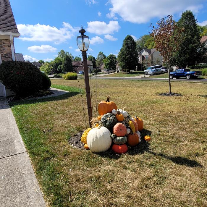 Johnson Seasonal Services Image