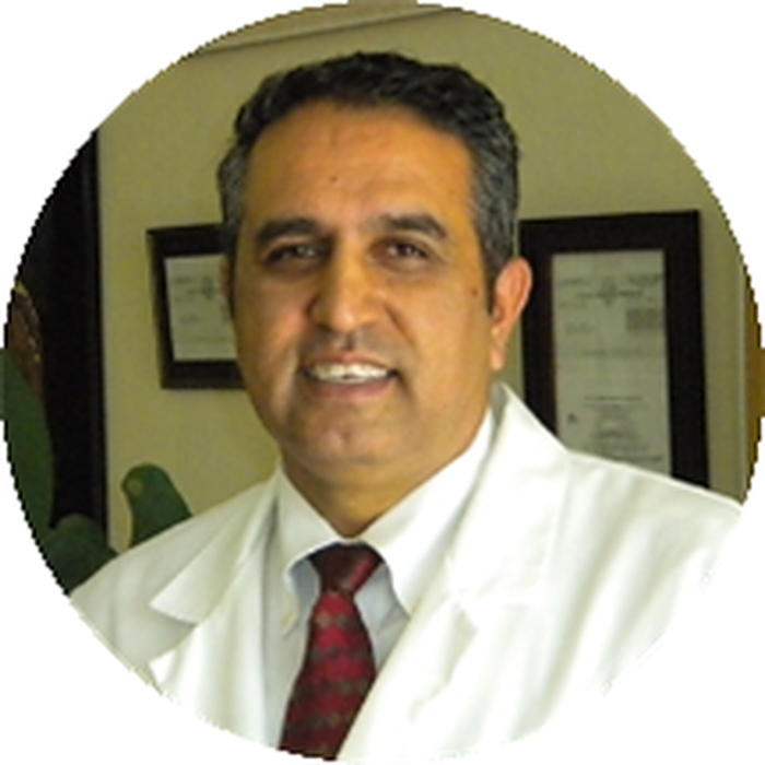 South Bay Wellness Center & Chiropractic Image