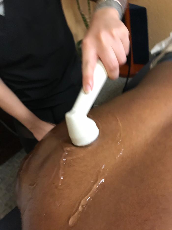 South Bay Wellness Center & Chiropractic Image