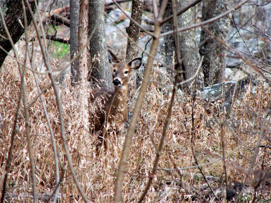 U-Store - Bladensburg, MD