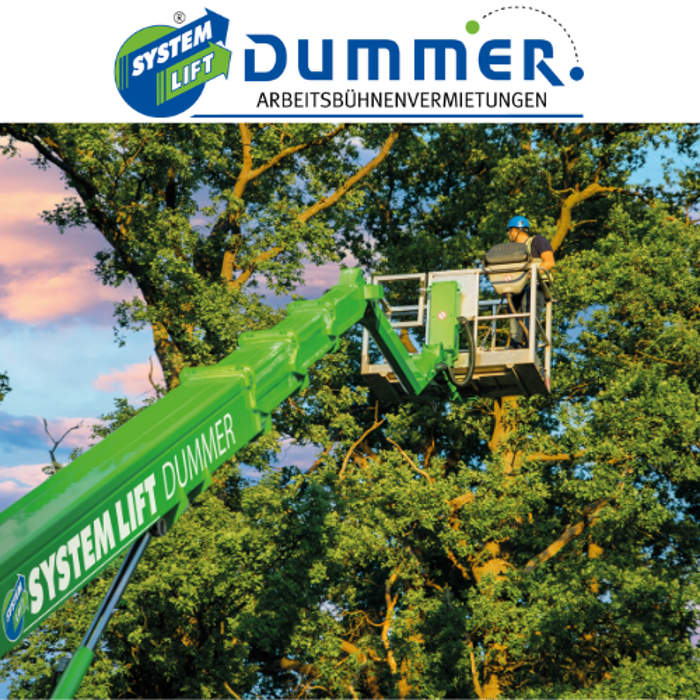 Dummer GmbH - Arbeitsbühnenvermietung & Schulungen in Pritzwalk