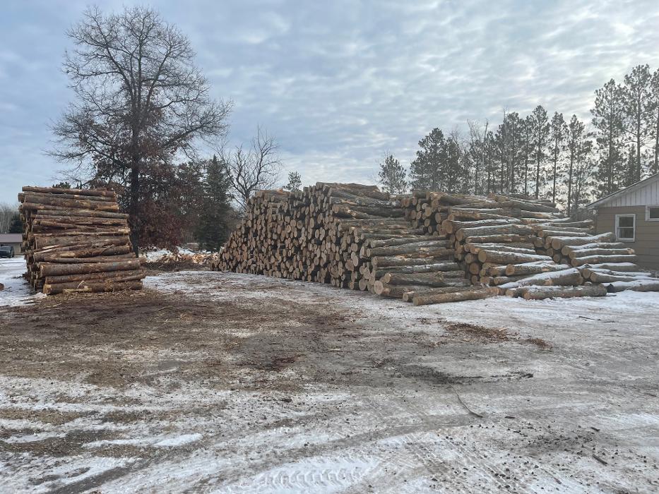 Lavelle Lawn Care and Firewood LLC Image