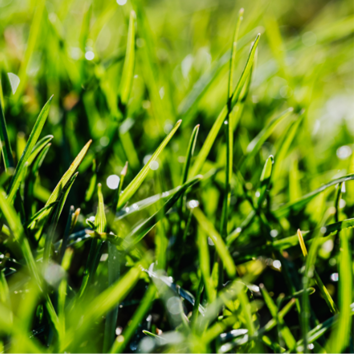 Lavelle Lawn Care and Firewood LLC Image